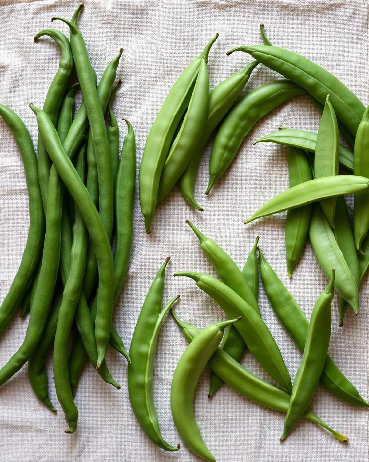 Fresh Vegetables